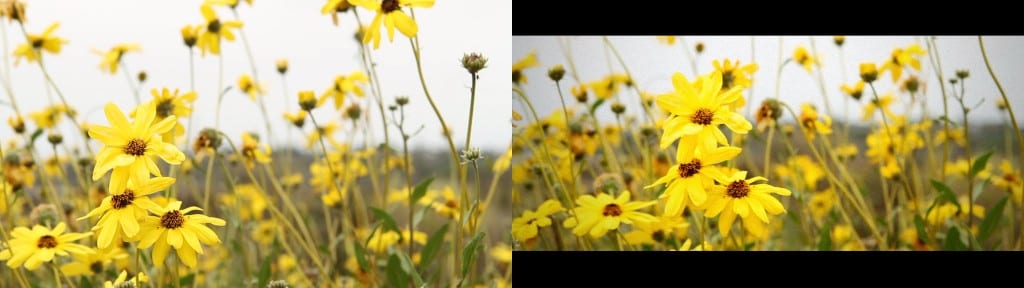 VideoEditingFilmLook6comparison
