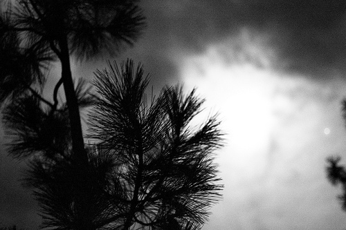 high iso noise photo