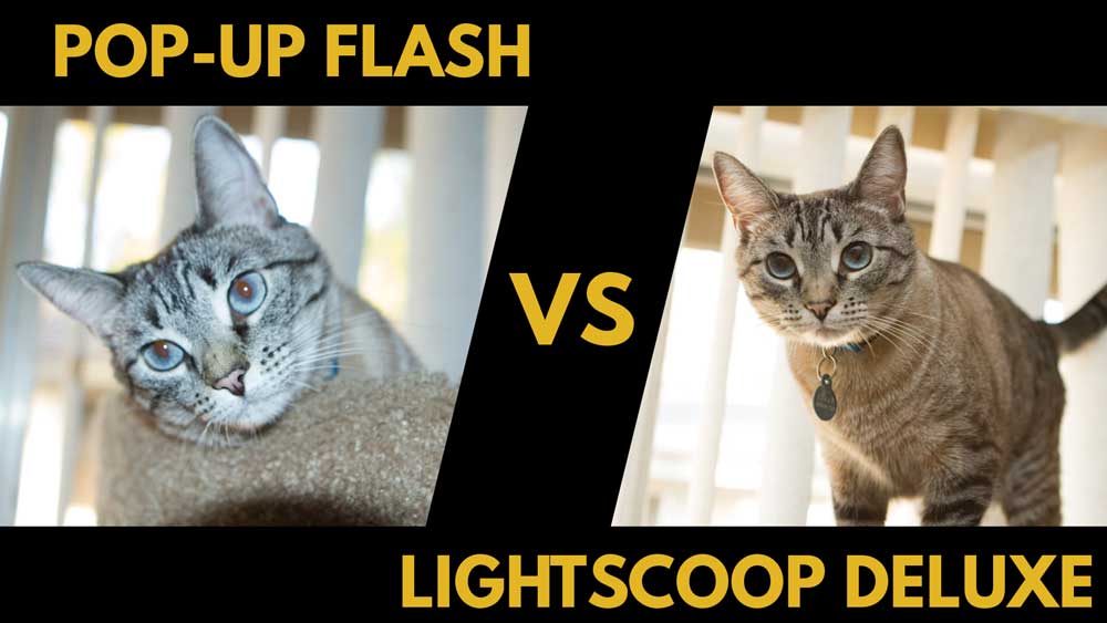 cat-lightscoop-deluxe