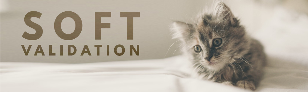 soft validation