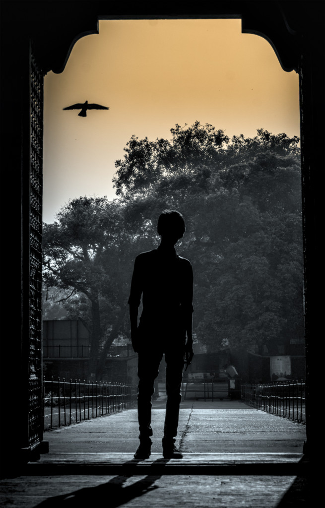kushmendra-01