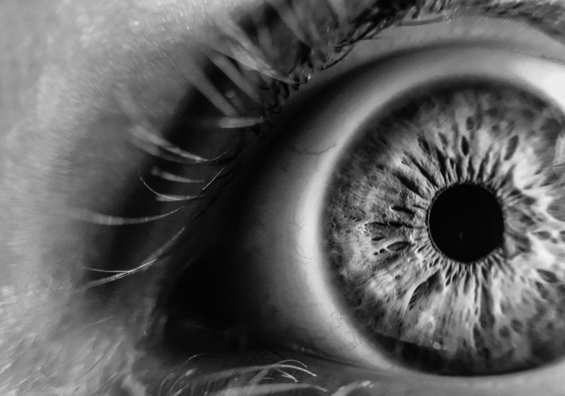 4 primes vs zoom lenses eye