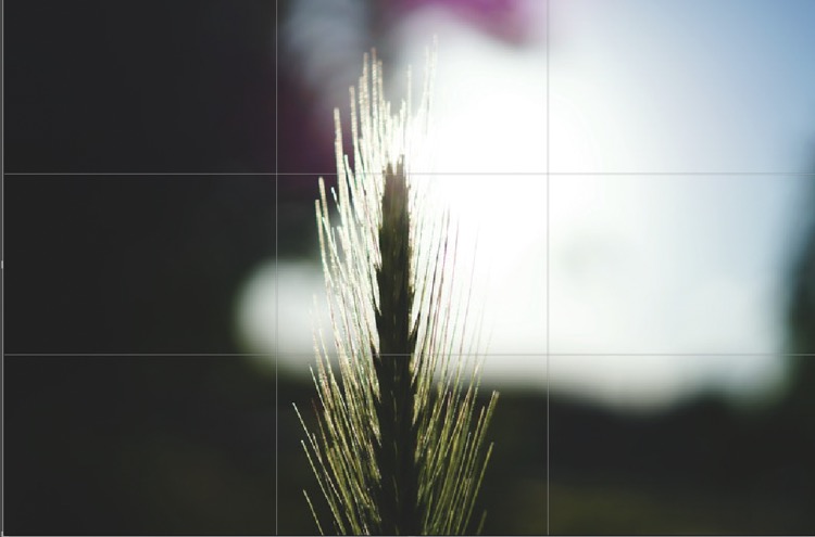 7. Rule of Thirds Centering