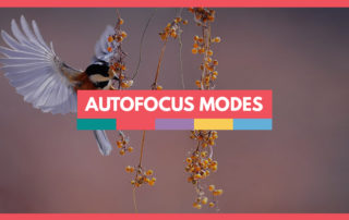 Autofocus modes explained video school online