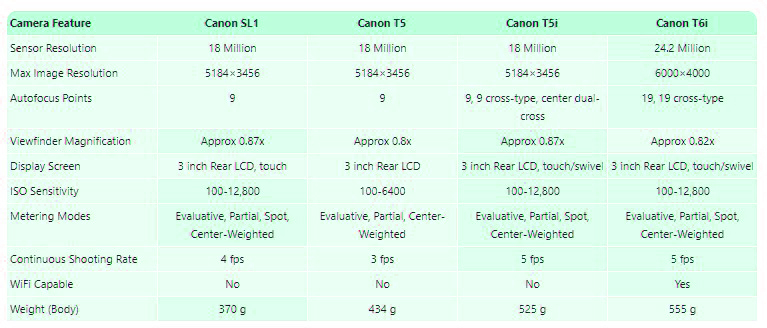 best entry level dslr