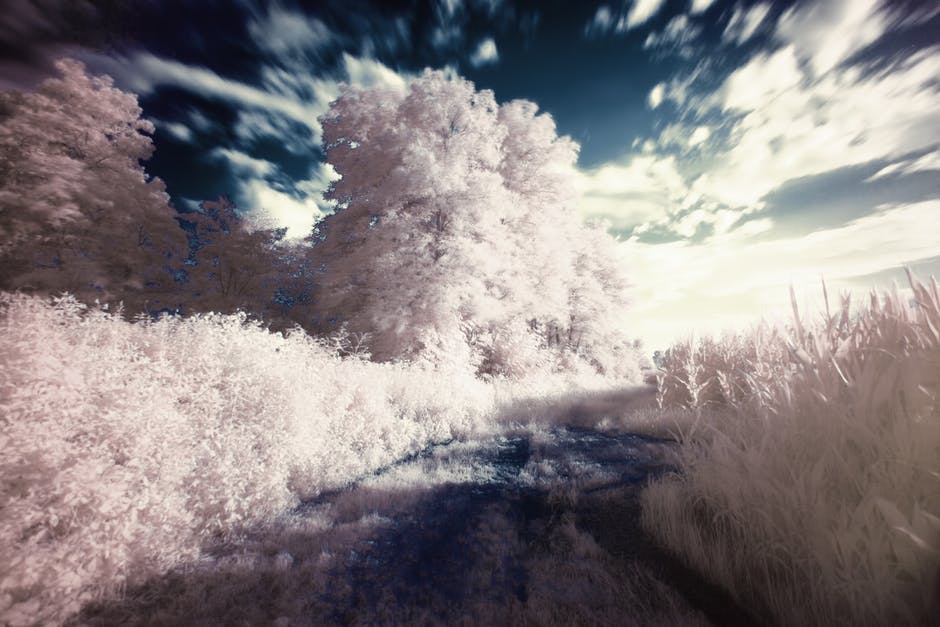 Camera Lens Filters Explained