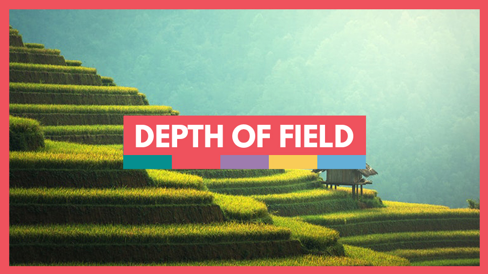 understanding depth of field