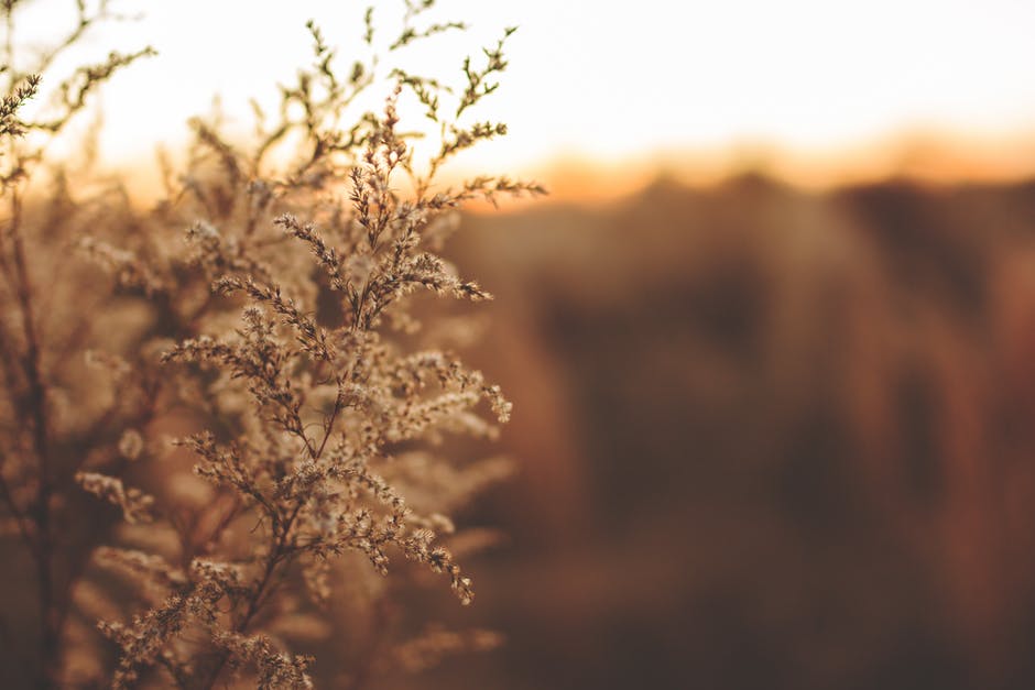 how to take sharp photos