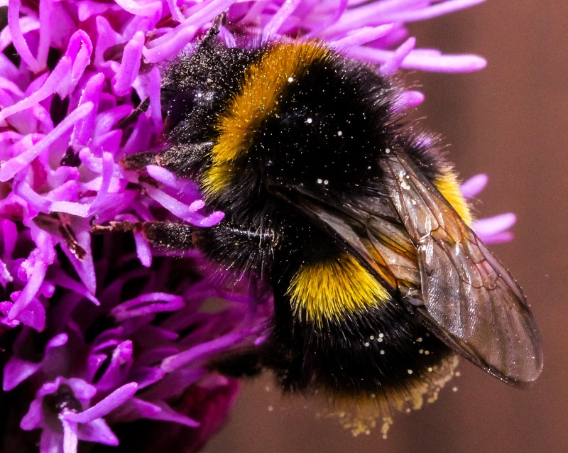 understanding depth of field