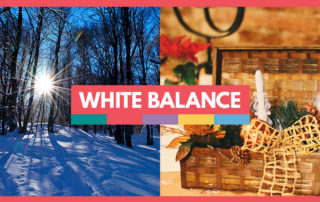 white balance guide