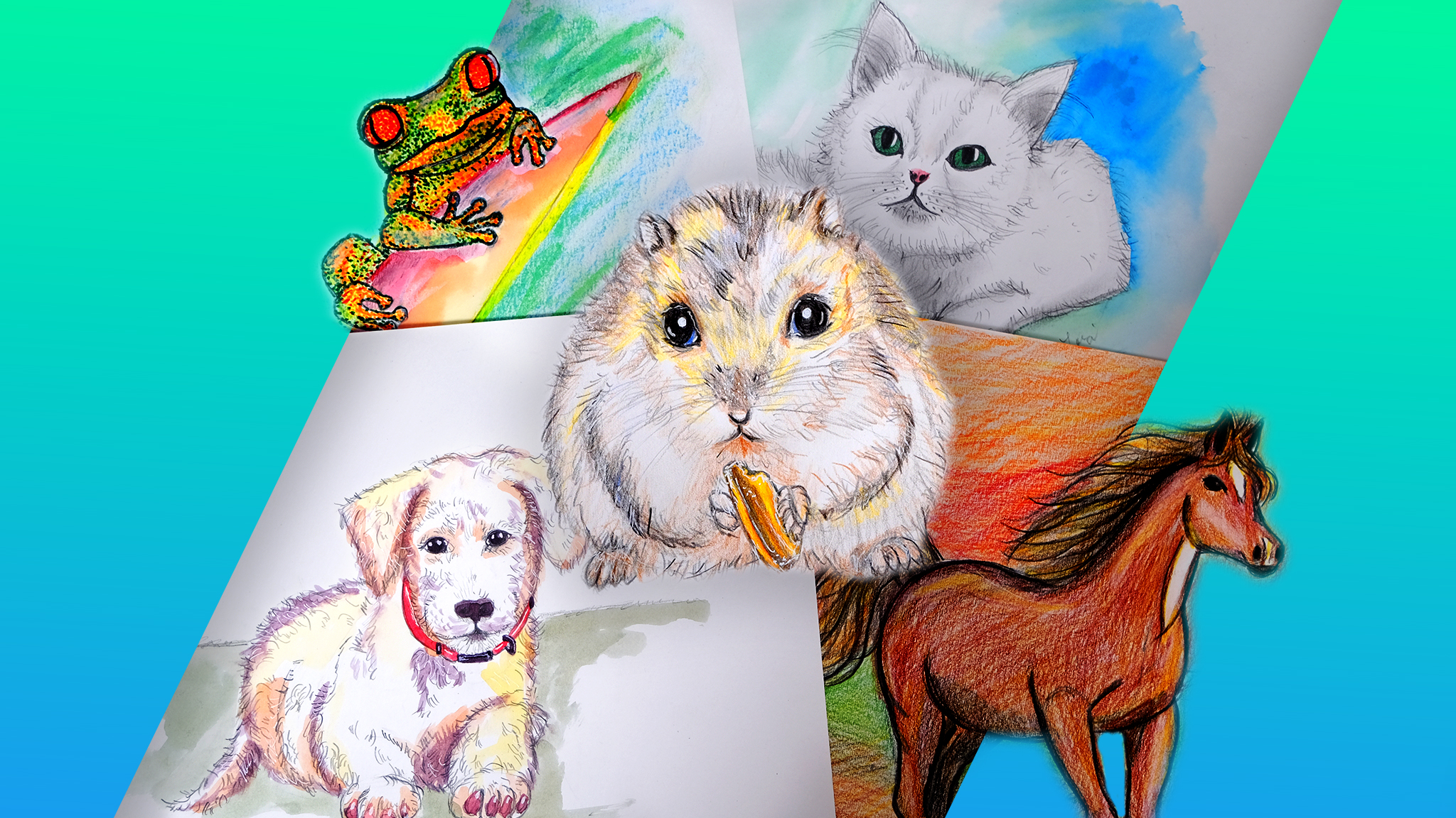 Drawing Animals