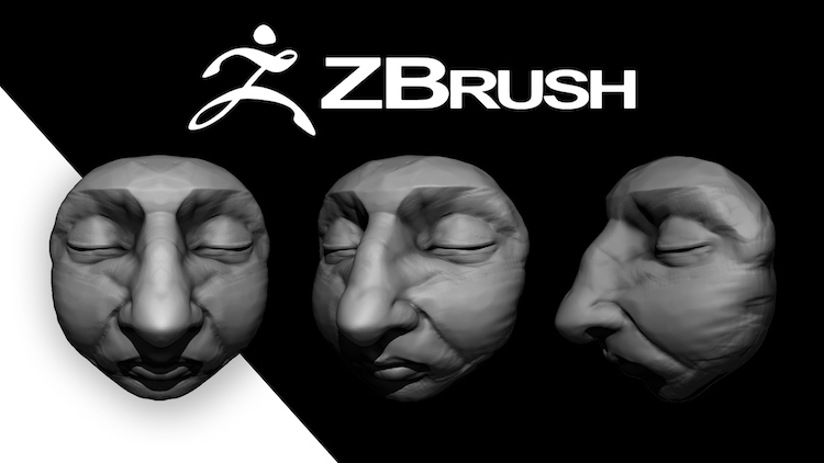 Zbrush for Beginners